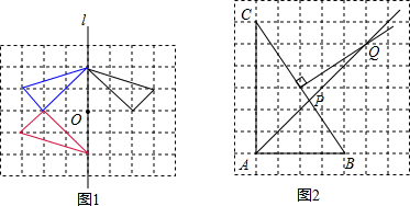 ��Ӣ�ҽ���