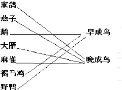 ��Ӣ�ҽ���