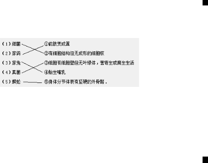 ��Ӣ�ҽ���