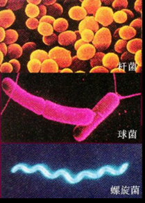 ��Ӣ�ҽ���