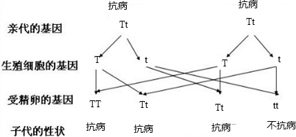 ��Ӣ�ҽ���