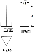 ��Ӣ�ҽ���