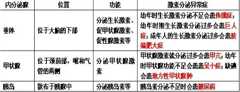 ��Ӣ�ҽ���