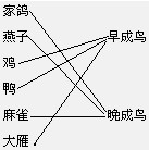 ��Ӣ�ҽ���