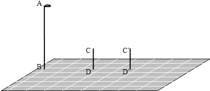 ��Ӣ�ҽ���