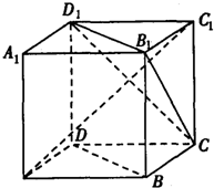 ��Ӣ�ҽ���