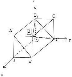 ��Ӣ�ҽ���