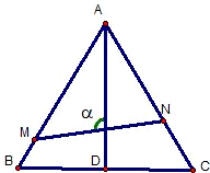 ��Ӣ�ҽ���