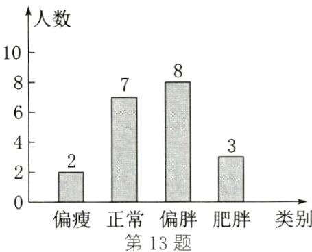 类别偏瘦正常偏胖肥胖第13题