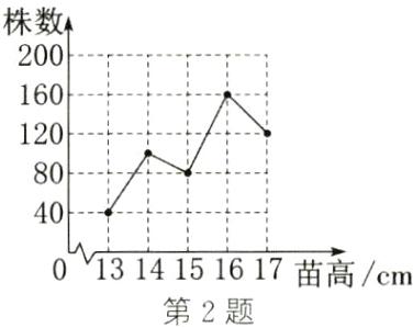 1314151617苗高cm第2题