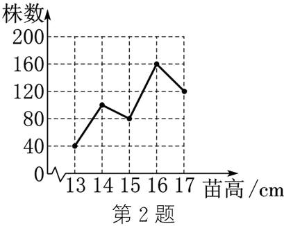 1314151617苗高cm第2题