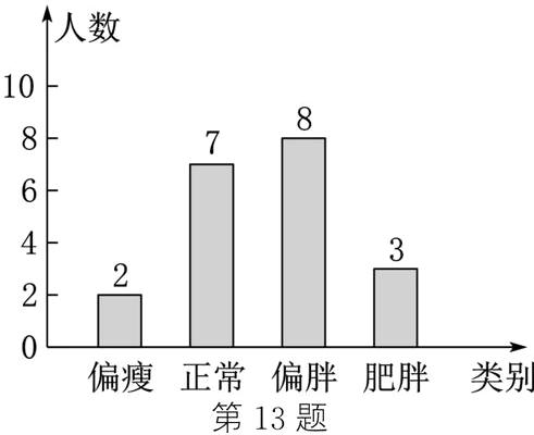 偏瘦正常偏胖肥胖类别第13题