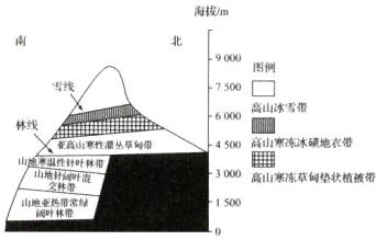 高山寒冻草垫状植被带1500