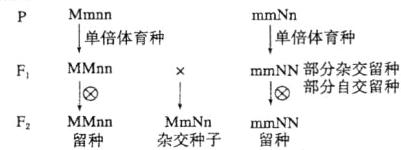 部分自交留种1818MMnnF2MmNnmmNN杂交种子留种留种