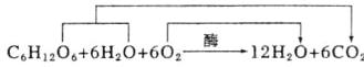 厂012H06CO能量CH2O6HO6O2