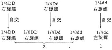 14DD18DD14Dd18dd14dd左旋螺右旋螺右旋螺右旋螺右旋螺