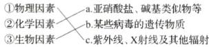 2物理因素a亚硝酸盐碱基类似物等化学因素b某些病毒的遭传物质生物因素紫外线X射线及其他辐射