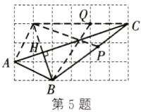 第5题