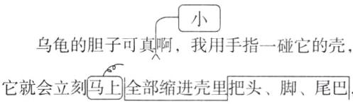 它就会立刻上全部缩进壳里把头脚尾巴