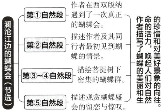和自向描述观赏蝴蝶盛生然往第5自然段会的留恋与惊叹