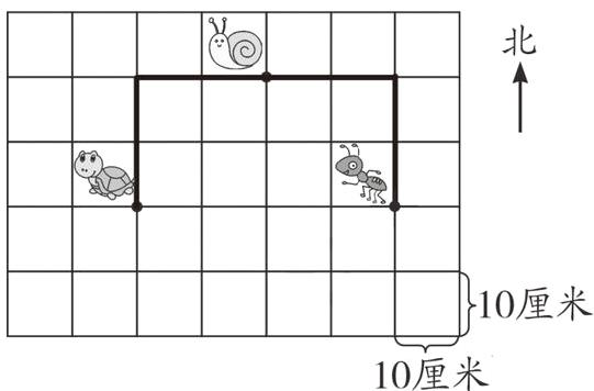10厘米