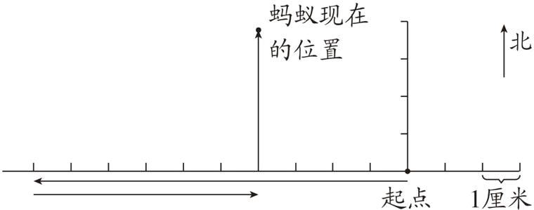 起点1厘米