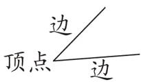 顶点