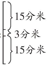 15分米