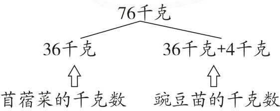 苜蓿菜的千克数豌豆苗的千克数