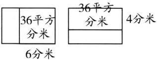 分米6分米