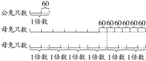 母兔只数一一一一-1倍数1倍数1倍数1倍数1倍数1倍数