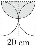 20cm