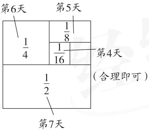 第7天