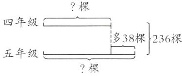 五年级棵