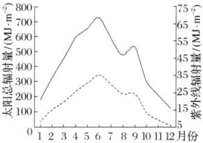 聪0015鑫太1000123456789101112月份