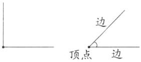顶点边