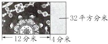 12分不4分米