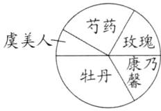 牡丹