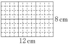 12cm