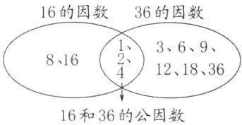 16和36的公因数