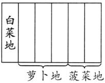 萝卜地菠菜地