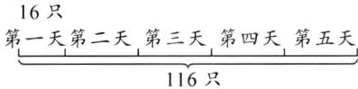 第一天第二天第三天第四天第五天116只