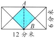 12分米