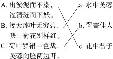 C荷叶罗裙一色裁c花中君子芙蓉向脸两边开