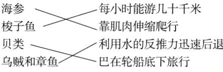 贝类利用水的反推力迅速后退乌贼和章鱼巴在轮船底下旅行