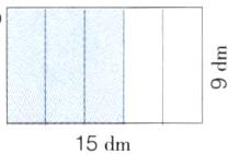 15dm