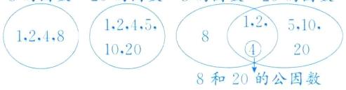 8和20的公因数