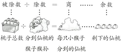 桃子总数分到仙桃的每只小猴子剩下的仙桃猴子猴孙分到的仙桃