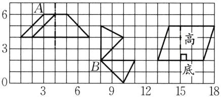 BNZ底LN121518