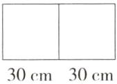 30cm30cm